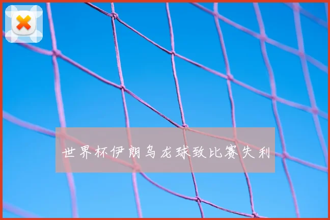 世界杯伊朗乌龙球致比赛失利