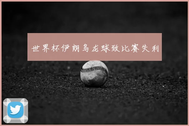 世界杯伊朗乌龙球致比赛失利