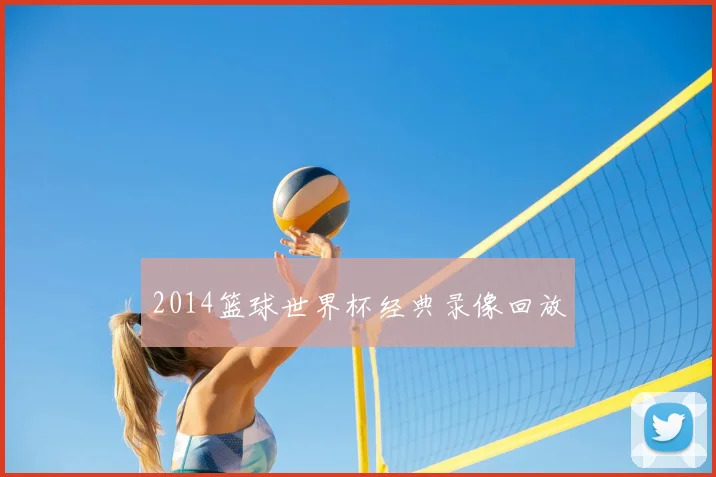 2014篮球世界杯经典录像回放