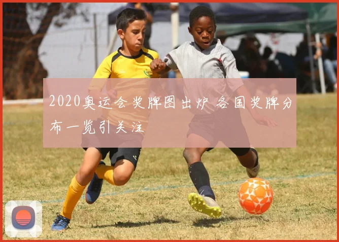 2020奥运会奖牌图出炉 各国奖牌分布一览引关注