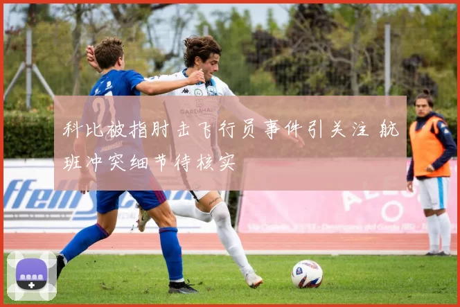 科比被指肘击飞行员事件引关注 航班冲突细节待核实