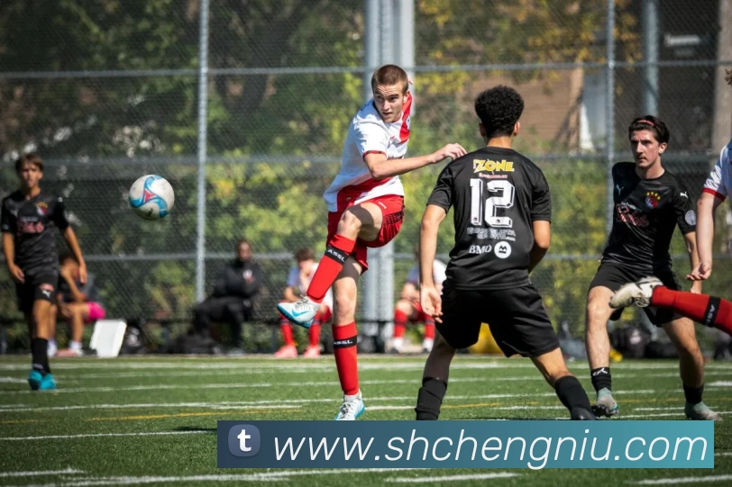 App Interface Preview